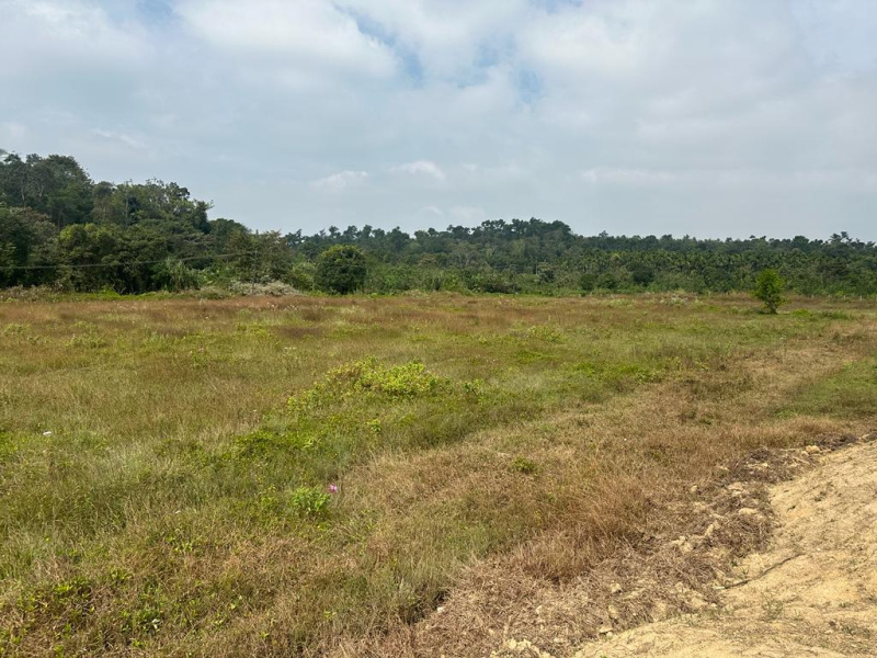 2 acre stream attached agri land for sale in Mudigere