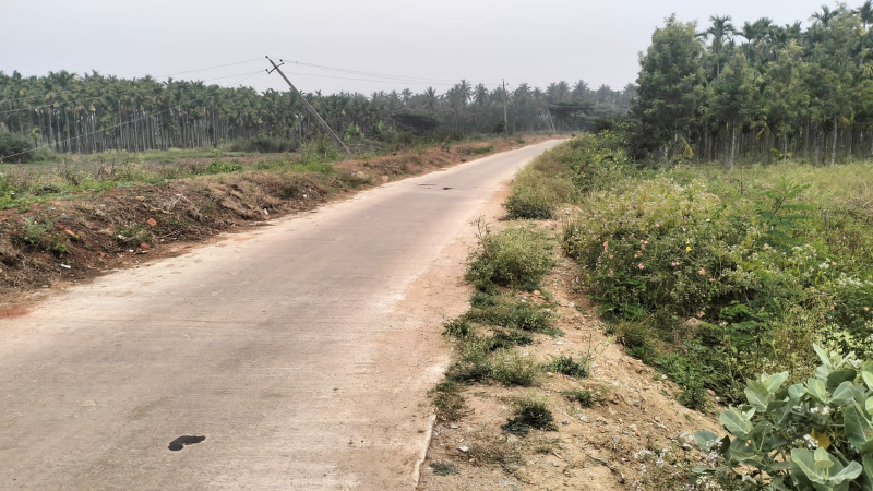 17000 Sq ft land for sale in Chikkamgaluru city