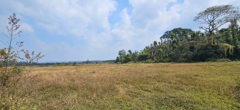 2.32 acre agri land for sale near Jannapura  Mudigere taluk  Chikkamagaluru dist
