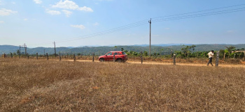 19 acre land for sale in sakleshpura