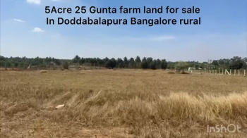 5 Acres 25 Guntas Farm Land for Sale in Doddballapura- Bangalore Rural