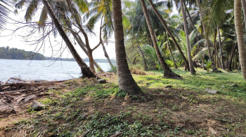 50 cent Backwater attached property  for sale in UDUPI