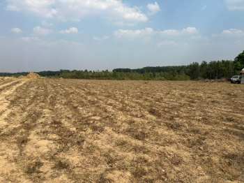 32 acre agri land for sale in Hassan