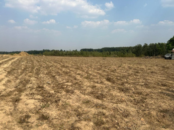 32 acre agriculture land for sale in Hassan