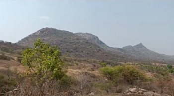 4 acre land for sale near halgoor - Malvalli Talluk