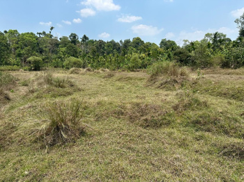 2 acre agri land for sale in Mudigere