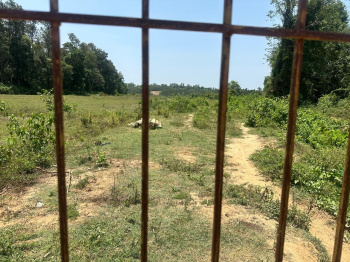 4 acre agri land for sale in Mudigere