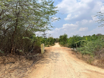 13 acres land for sale in Gowribidanur