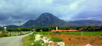31 Guntas farm land for Sale just 1km from Nandhi Hills footsteps.