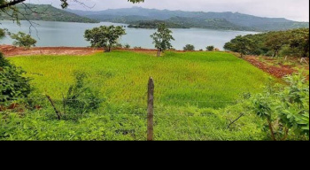 9 acre 33 Gunta back water facing farm land for sale