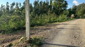 6 acre farm land for sale in Belur