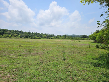 1 acre 15 gunta stream and resort attached land for in Sakleahpura