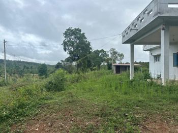 11 acre farm land for sale in Belur
