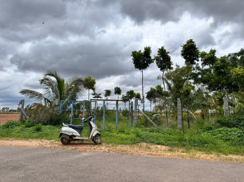 1 acre 17 gunta farm land for sale in Doddaballapura