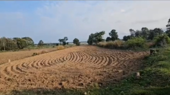 1 acre 6 gunta farm land for sale  near shettihalli - Hassan