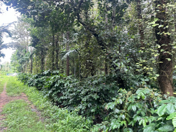 5.5 acre coffee plantation with poultry farm for sale in Hassan