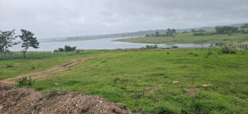4 acre back water attached agri land for sale in Hassan