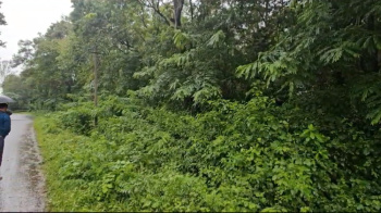 10 acre land   for sale in Alur taluk - Hassan district