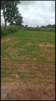 29 gunta agri land for sale in Arasikere taluk