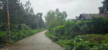 9 acre coffee  plantation for sale in Belur