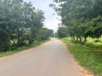 10.5 acre farm land for sale in Bidadi - Bangalore south  district