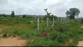 2 acre farm land for sale in Ramangara towards Kankapura