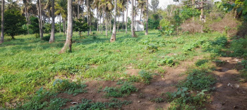 1.5 acre farm land for sale near yediyur