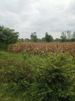 8 acre agri land for sale in Hassan