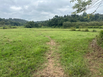 3 acre agri land for sale in Mudigere