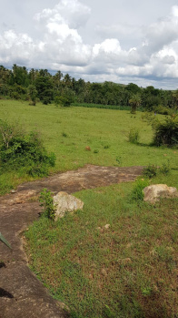 3.14 acre land for sale in Hasaan