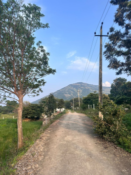 8 Guntas Land for Sale near Nandhi Hills.