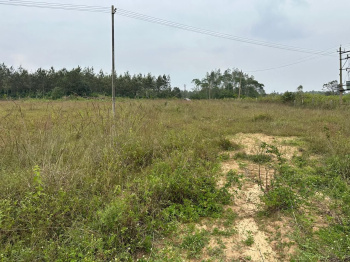 3 acre 15 gunta agri land for sale in Bikkod area - Belur taluk