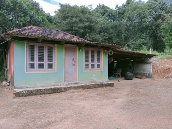 8.5 acre Arecanut plantation for sale inbetween koppa and SringerI