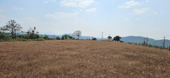 14.10 acre land for sale in sakleshpura