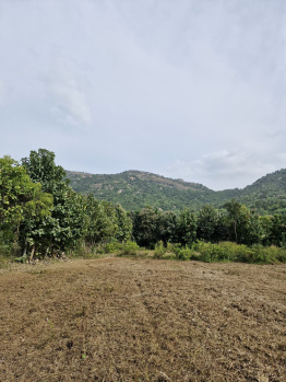 2 acre farm land for sale in Bangalore  rural