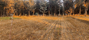 16 guntas land for sale in Dabaspete - Tumkur Road