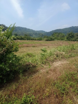 37 Guntas land available for sale in an extremely scenic location near Shettihalli lake, Alur