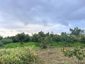 1 Acre 10 Guntas for Sale at just 4.5km from Doddabalapura Town