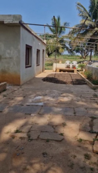 3 Acre Agricultural/Farm Land for Sale in Doddaballapur, Bangalore