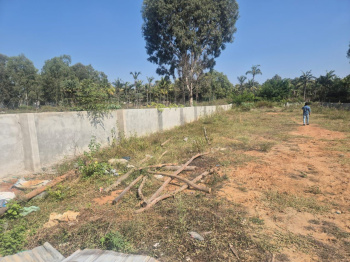 11000 Sq.ft. Agricultural/Farm Land for Sale in Yelahanka, Bangalore