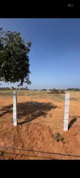 Agricultural/Farm Land for Sale in Doddaballapur, Bangalore (201540 Sq.ft.)