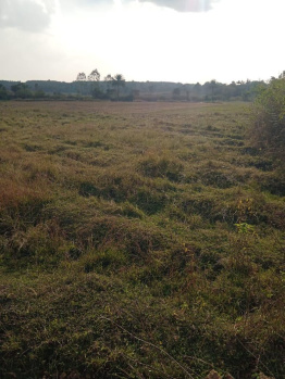 Agricultural/Farm Land for Sale in Belur Hassan, Hassan (174240 Sq.ft.)