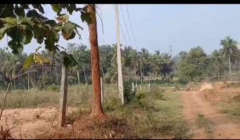 174240 Sq.ft. Agricultural/Farm Land for Sale in Kumaraswamy Layout, Bangalore