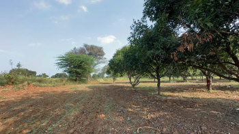 Agricultural/Farm Land for Sale in Gauribidanur, Bangalore (4.85 Acre)