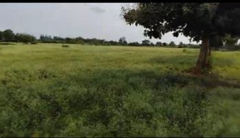 12.48 Acre Agricultural/Farm Land for Sale in Hatna, Mandya