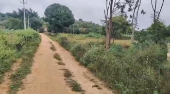 Agricultural/Farm Land for Sale in Kanakapura, Bangalore (31 Guntha)