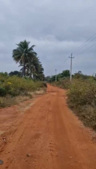 Agricultural/Farm Land for Sale in Chikkaballapur, Bangalore (2.24 Acre)