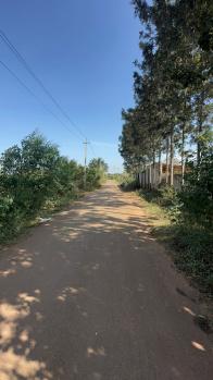 Agricultural/Farm Land for Sale in Devanahalli, Bangalore (12 Acre)