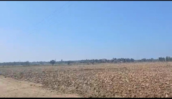 Agricultural/Farm Land for Sale in Malavalli, Mandya (10 Acre)