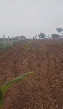 Agricultural/Farm Land for Sale in Malavalli, Mandya (2.06 Acre)